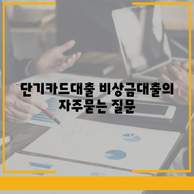 단기카드대출 비상금대출