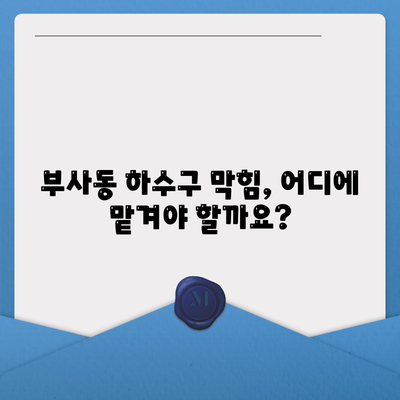 대전시 중구 부사동 하수구막힘 | 가격 | 비용 | 기름제거 | 싱크대 | 변기 | 세면대 | 역류 | 냄새차단 | 2024 후기