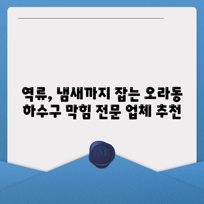 제주도 제주시 오라동 하수구막힘 | 가격 | 비용 | 기름제거 | 싱크대 | 변기 | 세면대 | 역류 | 냄새차단 | 2024 후기