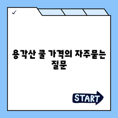 용각산 쿨 가격