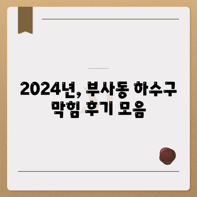 대전시 중구 부사동 하수구막힘 | 가격 | 비용 | 기름제거 | 싱크대 | 변기 | 세면대 | 역류 | 냄새차단 | 2024 후기