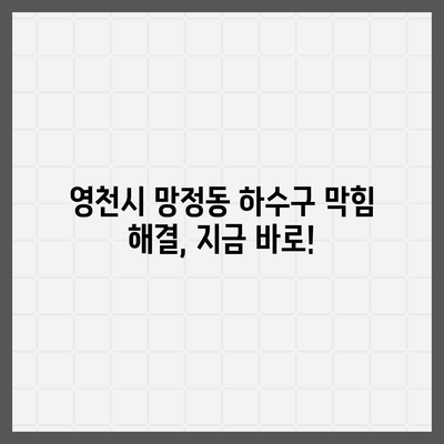 경상북도 영천시 망정동 하수구막힘 | 가격 | 비용 | 기름제거 | 싱크대 | 변기 | 세면대 | 역류 | 냄새차단 | 2024 후기