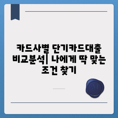 단기카드대출 비상금대출