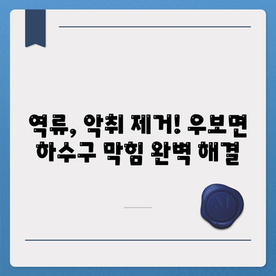 대구시 군위군 우보면 하수구막힘 | 가격 | 비용 | 기름제거 | 싱크대 | 변기 | 세면대 | 역류 | 냄새차단 | 2024 후기