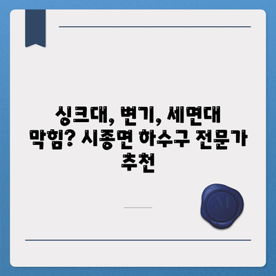 전라남도 영암군 시종면 하수구막힘 | 가격 | 비용 | 기름제거 | 싱크대 | 변기 | 세면대 | 역류 | 냄새차단 | 2024 후기