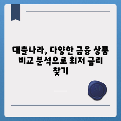 대출나라