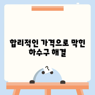 대전시 유성구 진잠동 하수구막힘 | 가격 | 비용 | 기름제거 | 싱크대 | 변기 | 세면대 | 역류 | 냄새차단 | 2024 후기