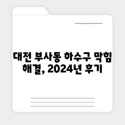 대전시 중구 부사동 하수구막힘 | 가격 | 비용 | 기름제거 | 싱크대 | 변기 | 세면대 | 역류 | 냄새차단 | 2024 후기