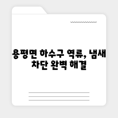 강원도 평창군 용평면 하수구막힘 | 가격 | 비용 | 기름제거 | 싱크대 | 변기 | 세면대 | 역류 | 냄새차단 | 2024 후기