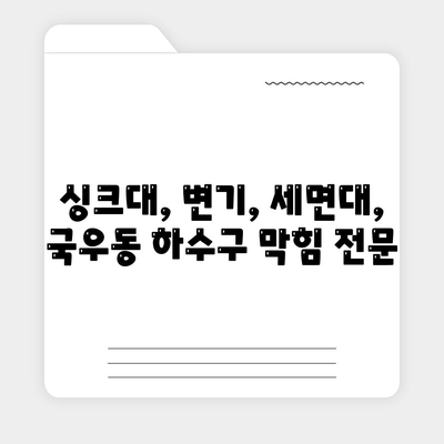 대구시 북구 국우동 하수구막힘 | 가격 | 비용 | 기름제거 | 싱크대 | 변기 | 세면대 | 역류 | 냄새차단 | 2024 후기