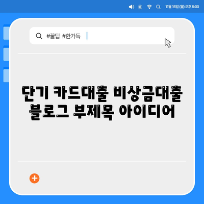 단기카드대출 비상금대출