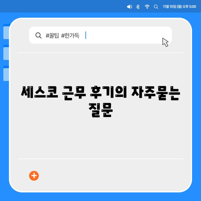 세스코 근무 후기