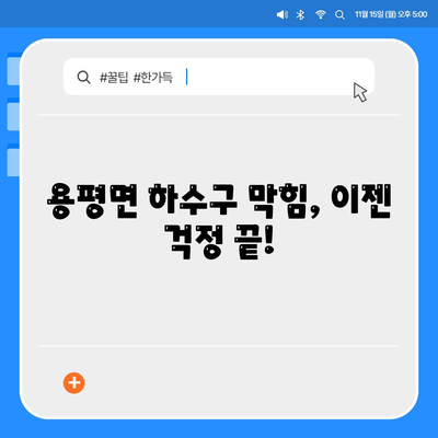 강원도 평창군 용평면 하수구막힘 | 가격 | 비용 | 기름제거 | 싱크대 | 변기 | 세면대 | 역류 | 냄새차단 | 2024 후기