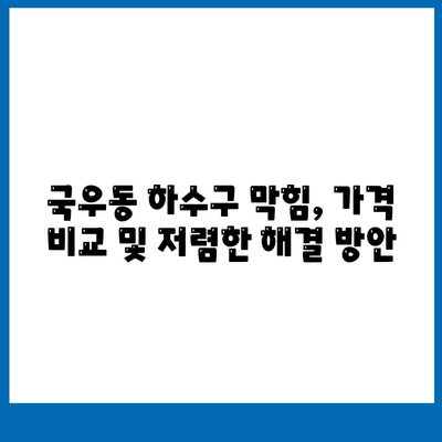 대구시 북구 국우동 하수구막힘 | 가격 | 비용 | 기름제거 | 싱크대 | 변기 | 세면대 | 역류 | 냄새차단 | 2024 후기