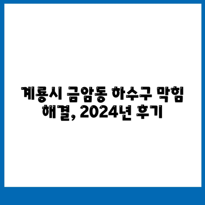 충청남도 계룡시 금암동 하수구막힘 | 가격 | 비용 | 기름제거 | 싱크대 | 변기 | 세면대 | 역류 | 냄새차단 | 2024 후기