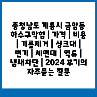 충청남도 계룡시 금암동 하수구막힘 | 가격 | 비용 | 기름제거 | 싱크대 | 변기 | 세면대 | 역류 | 냄새차단 | 2024 후기