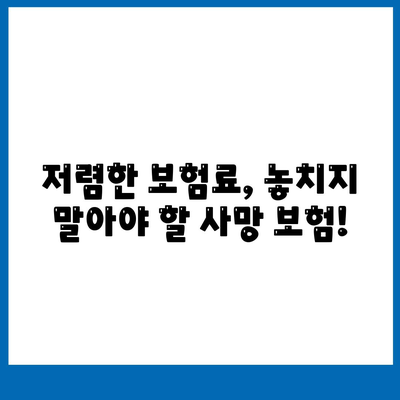 사망 보험사 추천