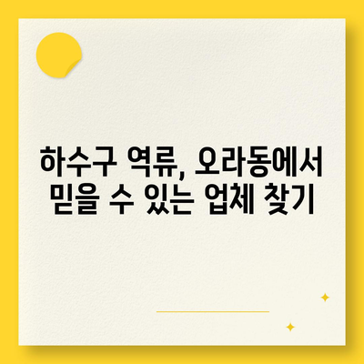 제주도 제주시 오라동 하수구막힘 | 가격 | 비용 | 기름제거 | 싱크대 | 변기 | 세면대 | 역류 | 냄새차단 | 2024 후기