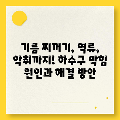 대전시 유성구 온천1동 하수구막힘 | 가격 | 비용 | 기름제거 | 싱크대 | 변기 | 세면대 | 역류 | 냄새차단 | 2024 후기