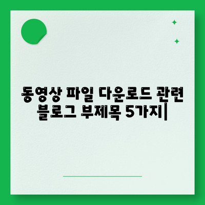 동영상 파일 다운로드