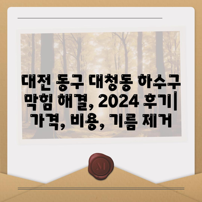 대전시 동구 대청동 하수구막힘 | 가격 | 비용 | 기름제거 | 싱크대 | 변기 | 세면대 | 역류 | 냄새차단 | 2024 후기