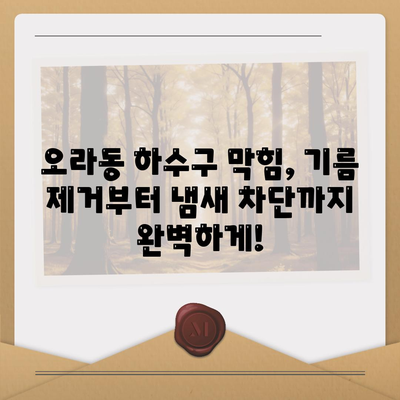 제주도 제주시 오라동 하수구막힘 | 가격 | 비용 | 기름제거 | 싱크대 | 변기 | 세면대 | 역류 | 냄새차단 | 2024 후기