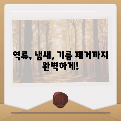 대전시 중구 대흥동 하수구막힘 | 가격 | 비용 | 기름제거 | 싱크대 | 변기 | 세면대 | 역류 | 냄새차단 | 2024 후기