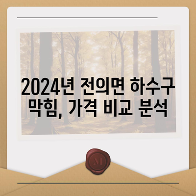 세종시 세종특별자치시 전의면 하수구막힘 | 가격 | 비용 | 기름제거 | 싱크대 | 변기 | 세면대 | 역류 | 냄새차단 | 2024 후기