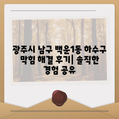 광주시 남구 백운1동 하수구막힘 | 가격 | 비용 | 기름제거 | 싱크대 | 변기 | 세면대 | 역류 | 냄새차단 | 2024 후기