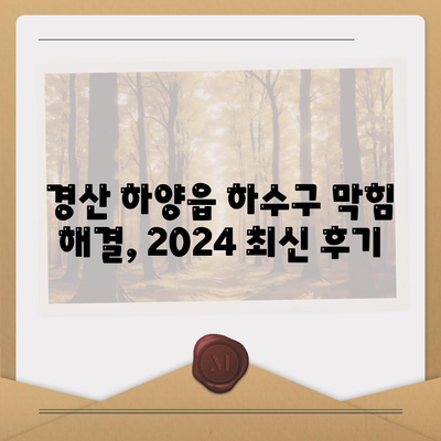 경상북도 경산시 하양읍 하수구막힘 | 가격 | 비용 | 기름제거 | 싱크대 | 변기 | 세면대 | 역류 | 냄새차단 | 2024 후기