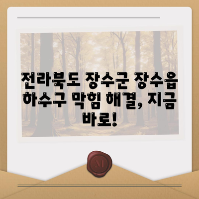 전라북도 장수군 장수읍 하수구막힘 | 가격 | 비용 | 기름제거 | 싱크대 | 변기 | 세면대 | 역류 | 냄새차단 | 2024 후기