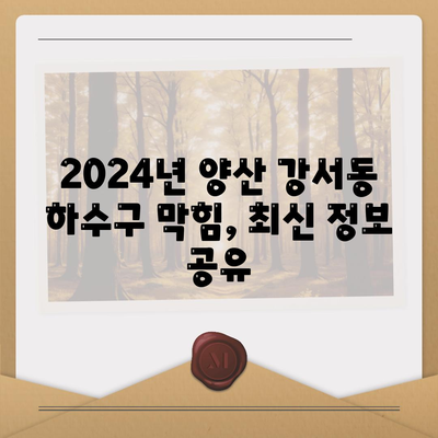 경상남도 양산시 강서동 하수구막힘 | 가격 | 비용 | 기름제거 | 싱크대 | 변기 | 세면대 | 역류 | 냄새차단 | 2024 후기