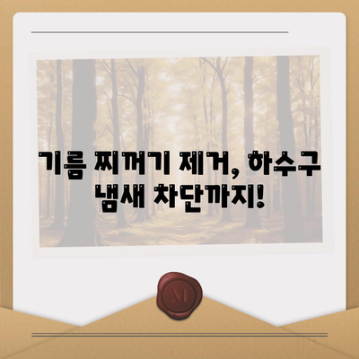 부산시 사상구 주례3동 하수구막힘 | 가격 | 비용 | 기름제거 | 싱크대 | 변기 | 세면대 | 역류 | 냄새차단 | 2024 후기