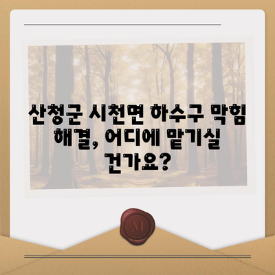 경상남도 산청군 시천면 하수구막힘 | 가격 | 비용 | 기름제거 | 싱크대 | 변기 | 세면대 | 역류 | 냄새차단 | 2024 후기