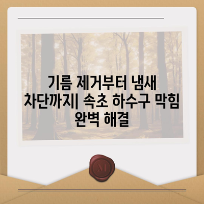 강원도 속초시 노학동 하수구막힘 | 가격 | 비용 | 기름제거 | 싱크대 | 변기 | 세면대 | 역류 | 냄새차단 | 2024 후기