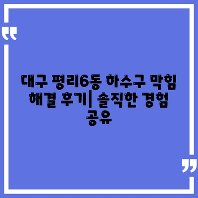 대구시 서구 평리6동 하수구막힘 | 가격 | 비용 | 기름제거 | 싱크대 | 변기 | 세면대 | 역류 | 냄새차단 | 2024 후기