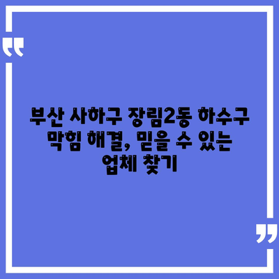 부산시 사하구 장림2동 하수구막힘 | 가격 | 비용 | 기름제거 | 싱크대 | 변기 | 세면대 | 역류 | 냄새차단 | 2024 후기