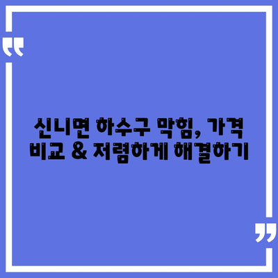 충청북도 충주시 신니면 하수구막힘 | 가격 | 비용 | 기름제거 | 싱크대 | 변기 | 세면대 | 역류 | 냄새차단 | 2024 후기