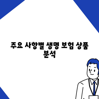 주요 사항별 생명 보험 상품 분석