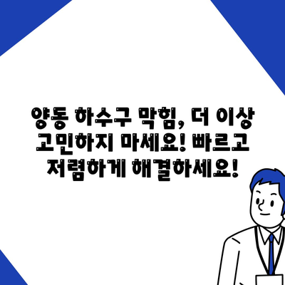 광주시 서구 양동 하수구막힘 | 가격 | 비용 | 기름제거 | 싱크대 | 변기 | 세면대 | 역류 | 냄새차단 | 2024 후기