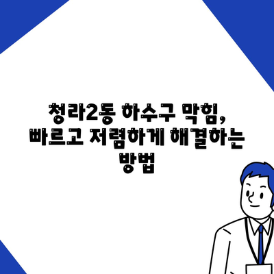 인천시 서구 청라2동 하수구막힘 | 가격 | 비용 | 기름제거 | 싱크대 | 변기 | 세면대 | 역류 | 냄새차단 | 2024 후기