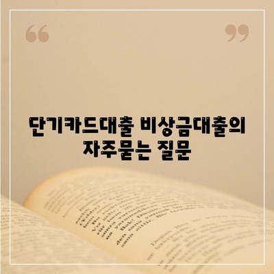 단기카드대출 비상금대출