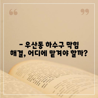 광주시 광산구 우산동 하수구막힘 | 가격 | 비용 | 기름제거 | 싱크대 | 변기 | 세면대 | 역류 | 냄새차단 | 2024 후기