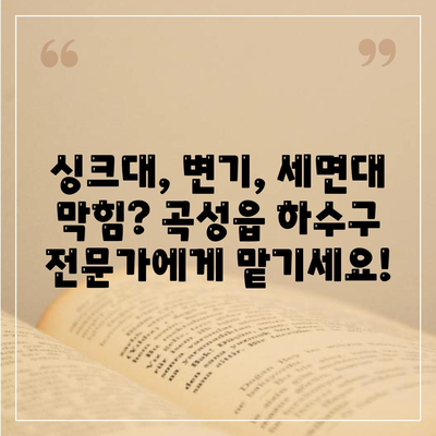 전라남도 곡성군 곡성읍 하수구막힘 | 가격 | 비용 | 기름제거 | 싱크대 | 변기 | 세면대 | 역류 | 냄새차단 | 2024 후기