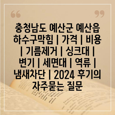 충청남도 예산군 예산읍 하수구막힘 | 가격 | 비용 | 기름제거 | 싱크대 | 변기 | 세면대 | 역류 | 냄새차단 | 2024 후기