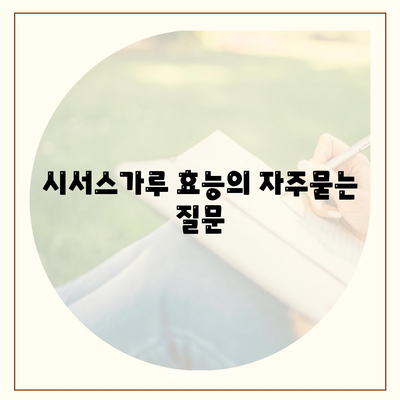 시서스가루 효능