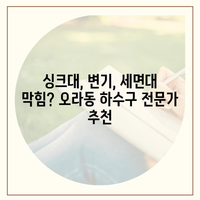 제주도 제주시 오라동 하수구막힘 | 가격 | 비용 | 기름제거 | 싱크대 | 변기 | 세면대 | 역류 | 냄새차단 | 2024 후기