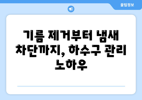 제주도 서귀포시 영천동 하수구막힘 | 가격 | 비용 | 기름제거 | 싱크대 | 변기 | 세면대 | 역류 | 냄새차단 | 2024 후기