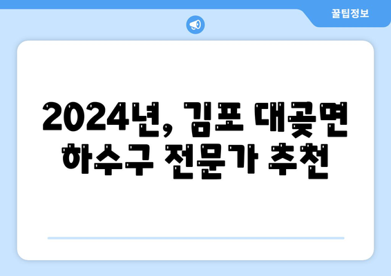 경기도 김포시 대곶면 하수구막힘 | 가격 | 비용 | 기름제거 | 싱크대 | 변기 | 세면대 | 역류 | 냄새차단 | 2024 후기