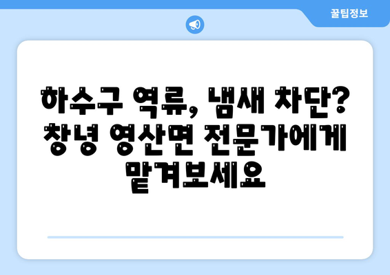 경상남도 창녕군 영산면 하수구막힘 | 가격 | 비용 | 기름제거 | 싱크대 | 변기 | 세면대 | 역류 | 냄새차단 | 2024 후기